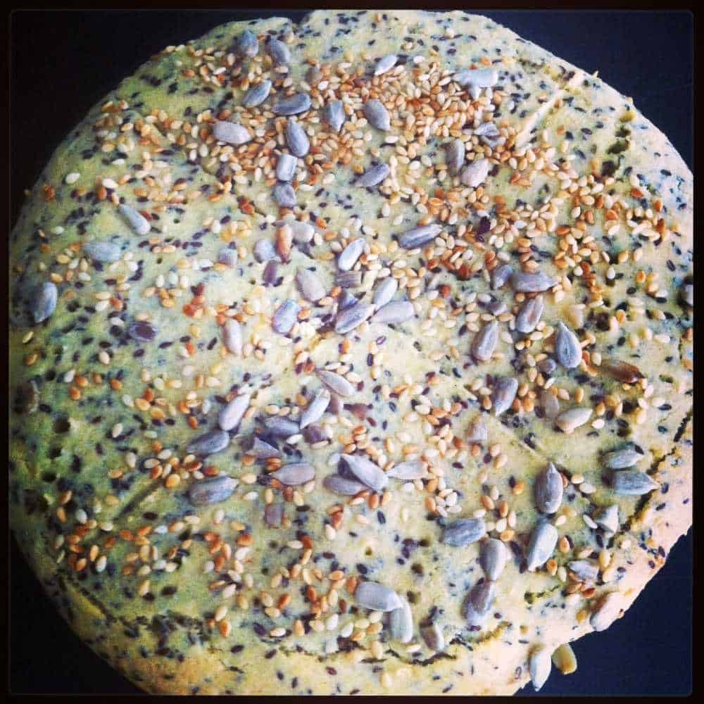 Sockertjockens paleoscones